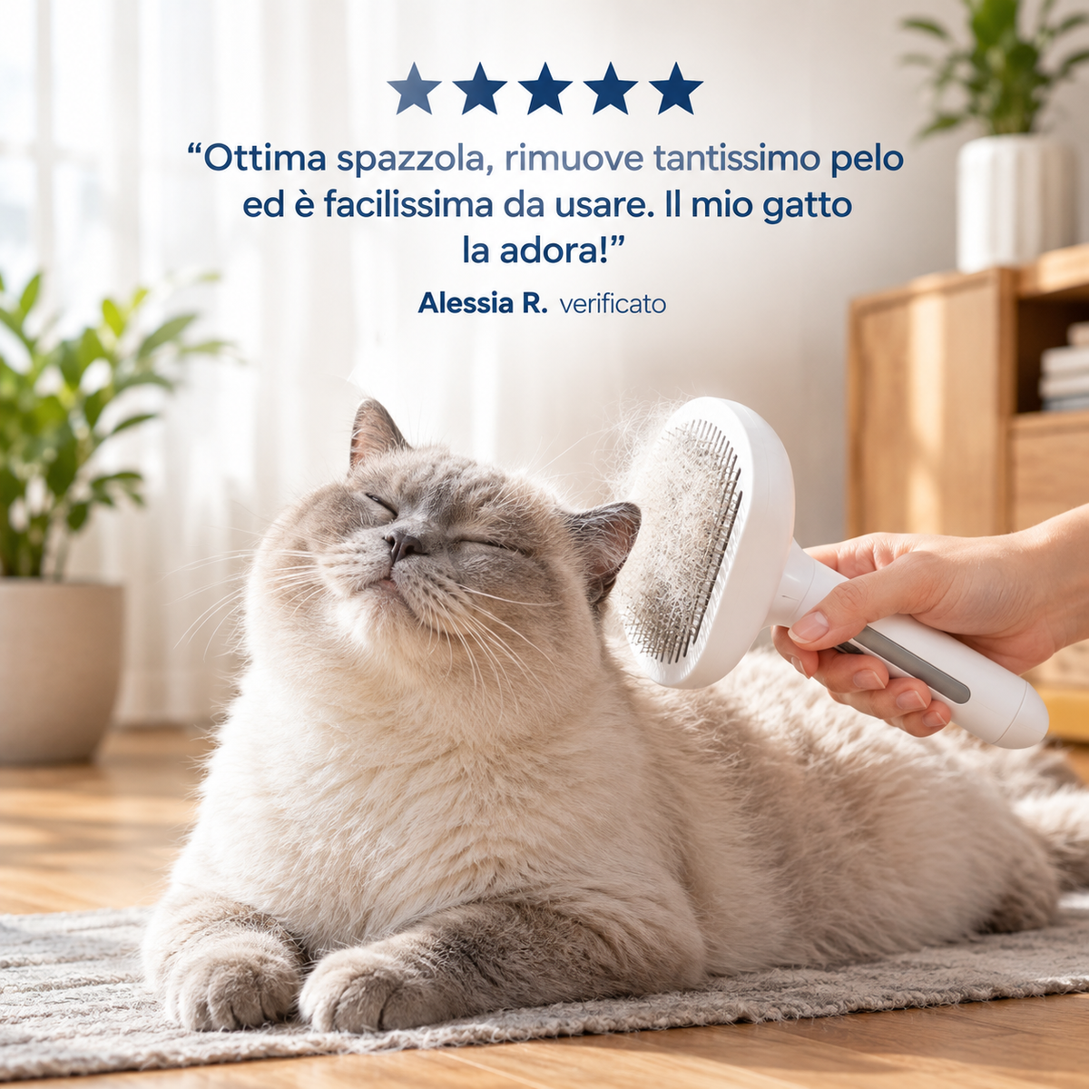 Spazzola: ComfyCat™ Spazzola Spray 4in1 a Vapore