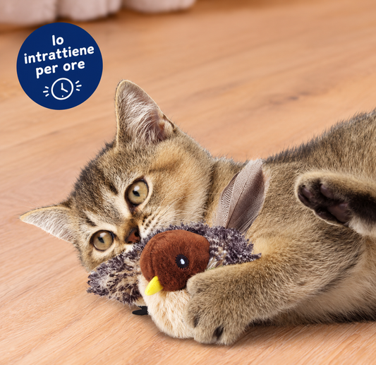 ComfyCat™ Uccellino Interattivo Vibrante